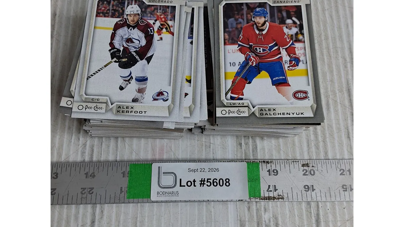 Lot of 2016-17 O-Pee-Chee Hockey Cards