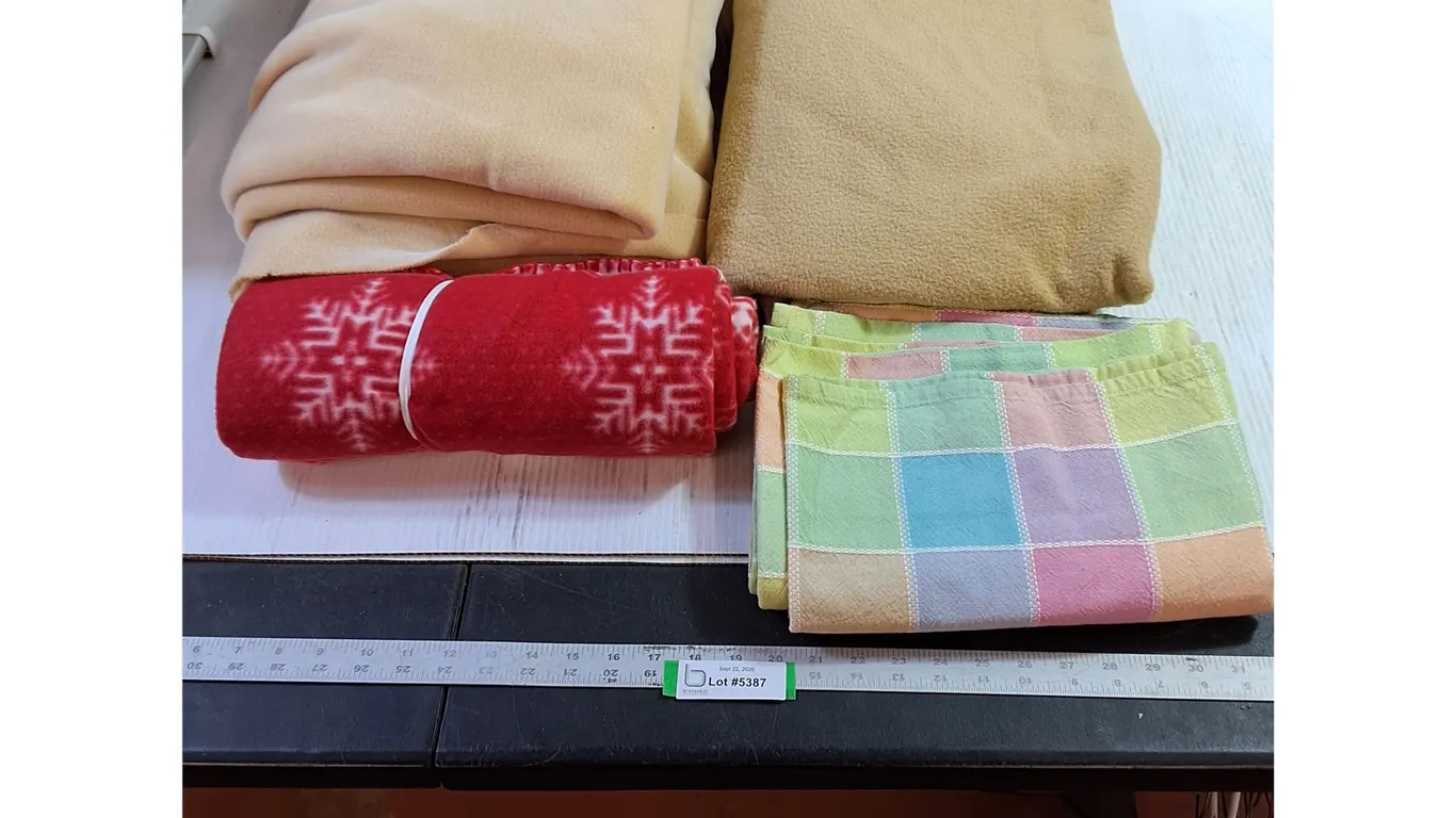 Assorted Blankets, Bedsheets - Largest (90x63")