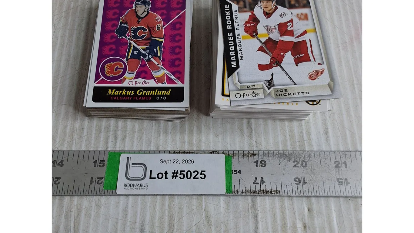 Lot of 2015-16 O-Pee-Chee-2018-19 Score Hockey Cards-Assorted