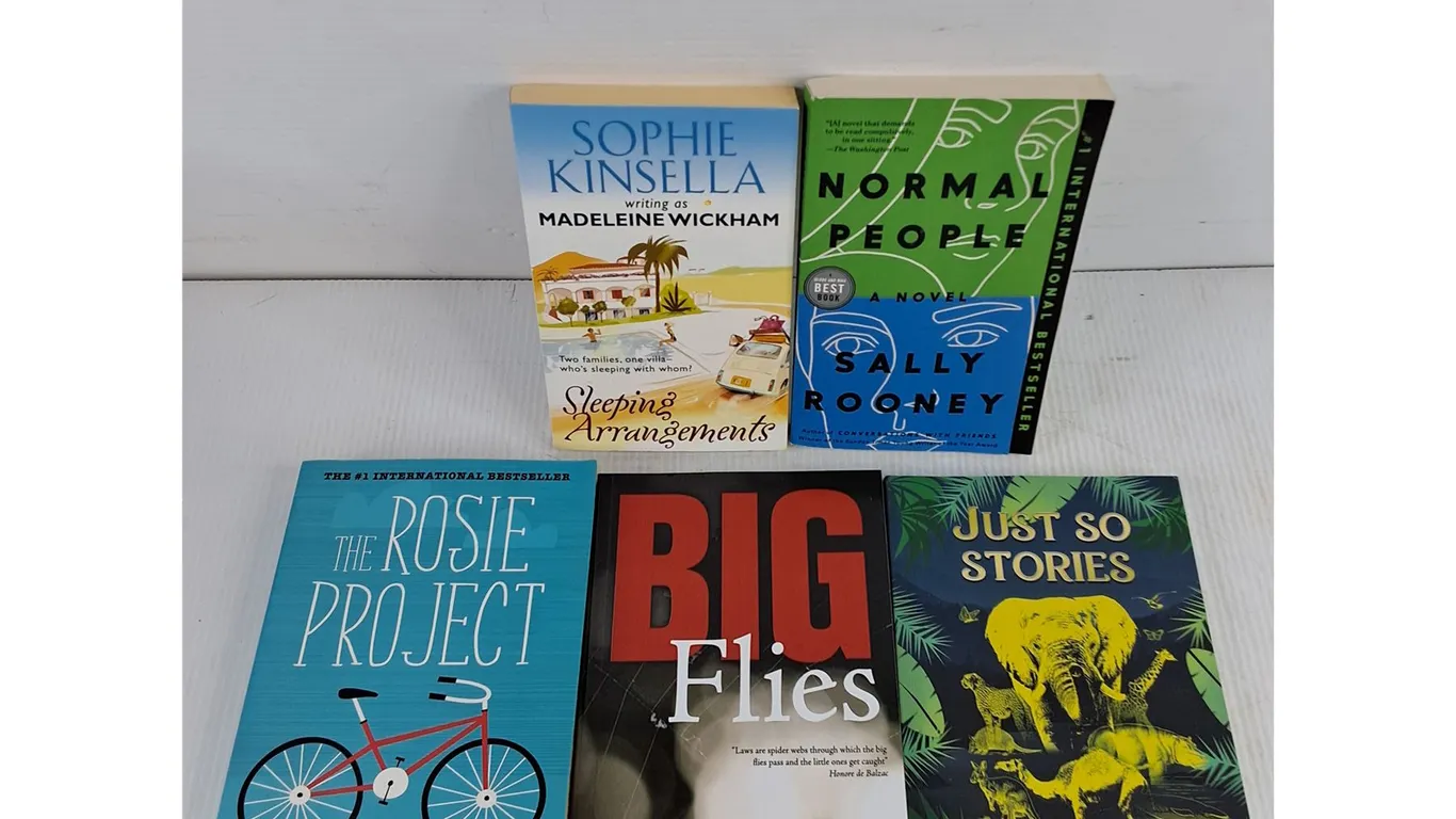 Assorted Books - The Rosie Project, Big Flies, Normal People, Misc