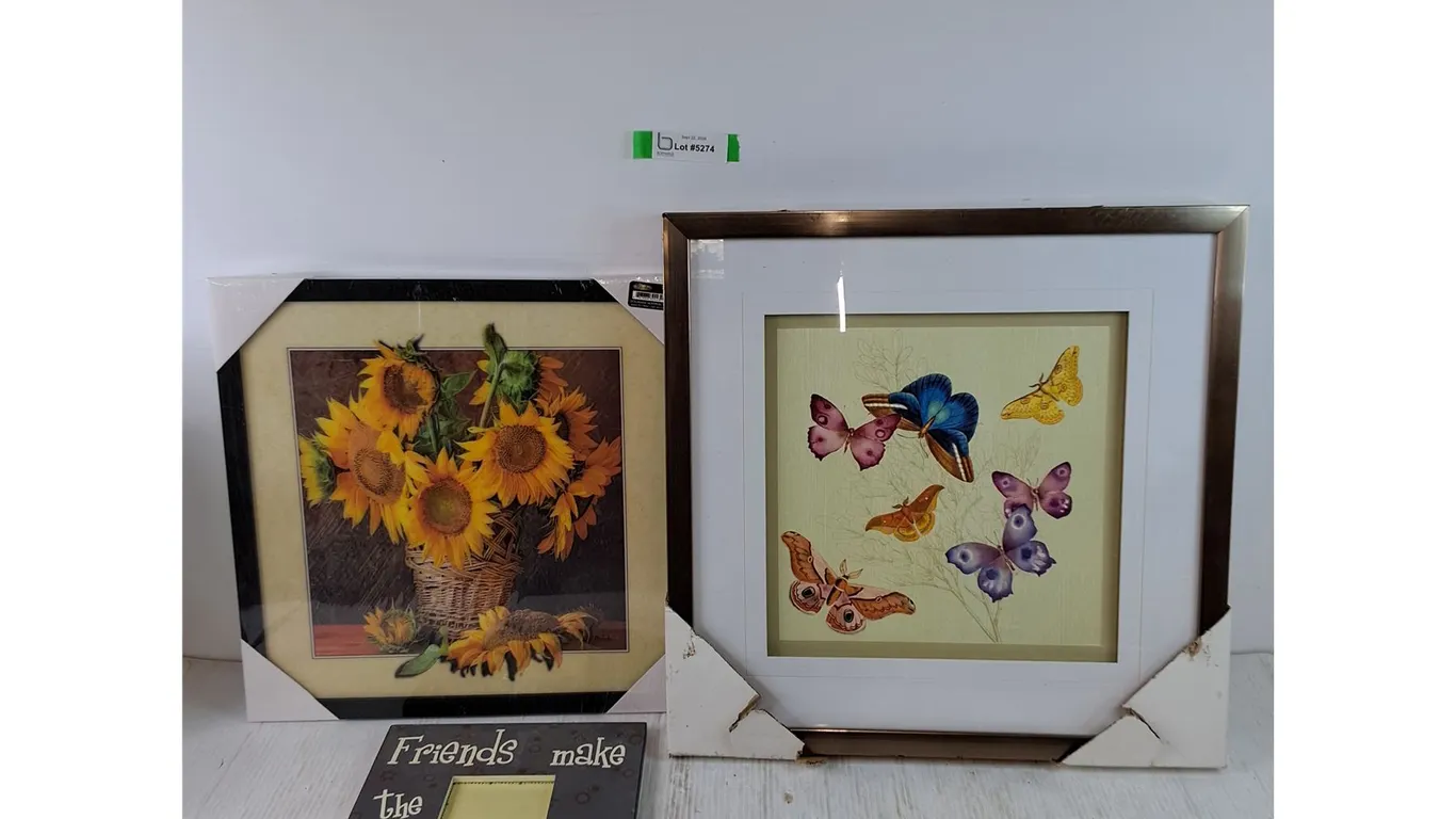 (3) Picture Frames and Images, 19 1/2" x 19 1/2", 17" x 17", 9 5/8" x 11 5/8"