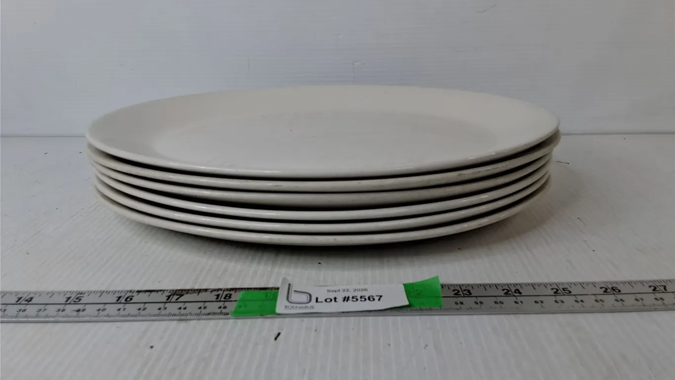 (6) Ceramic Steelite Serving Plates 13.25" x 10.5"