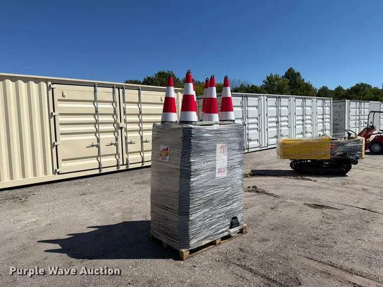 Approximately 250 cones