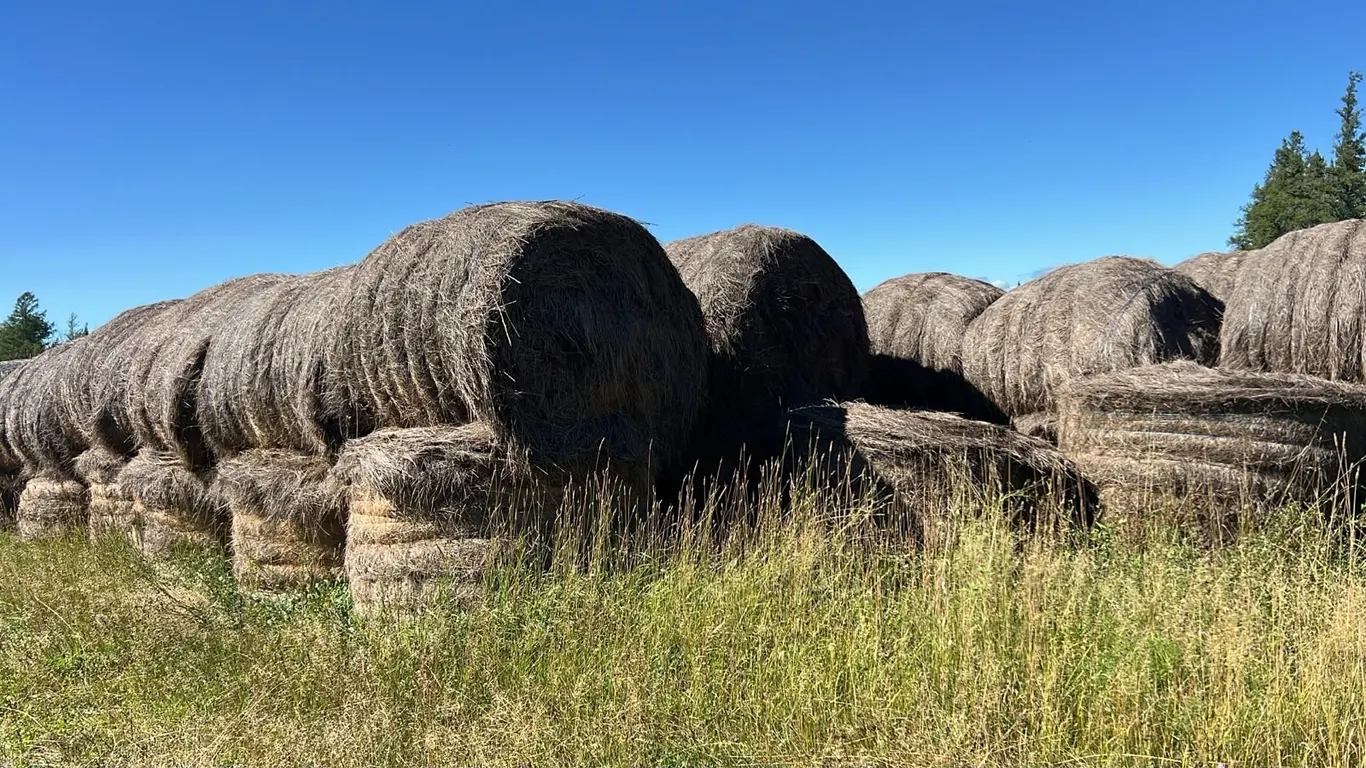 OFFSITE - 75 - Hay Bales