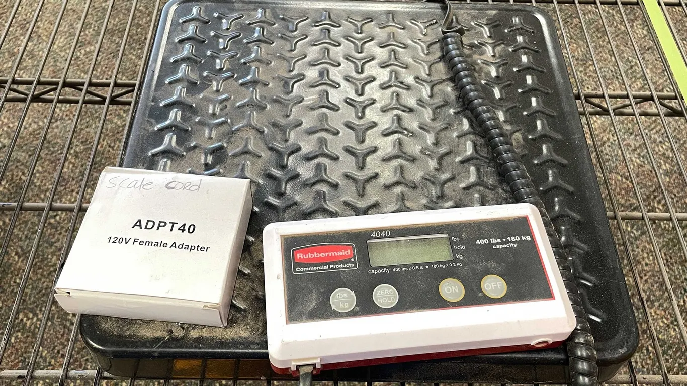Rubbermaid Scale