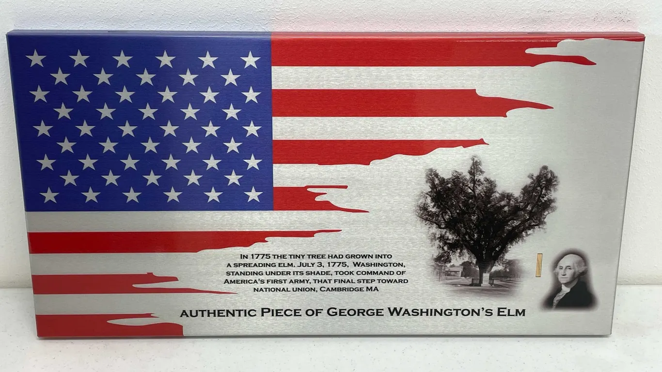 Beveled Edge Metal American Flag with George Washington