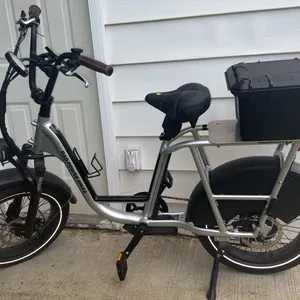 Rad Power Bikes RadRunner Plus Electric Utility Bike with Rear Cargo Box