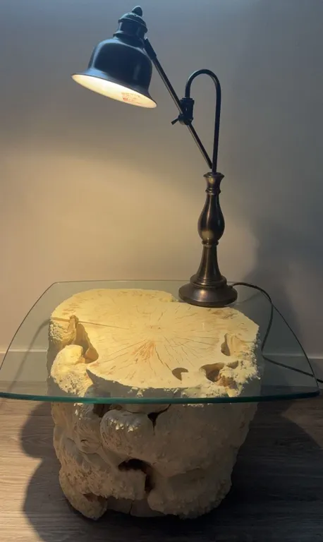 Square Glass-Top Side Table with Natural Wood Burl Base and Metal Desk Lamp
