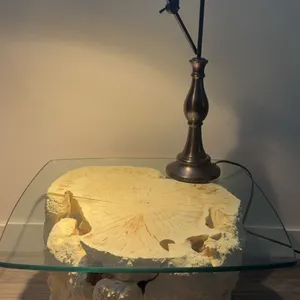 Square Glass-Top Side Table with Natural Wood Burl Base and Metal Desk Lamp
