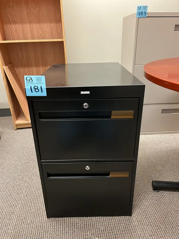 Cole 2-drawer black metal vertical filing cabinet 18”x26.5”x28”
