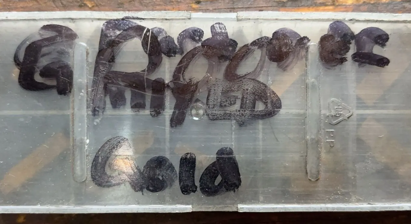 Assorted Carbide Parting & Grooving Inserts in Storage Case