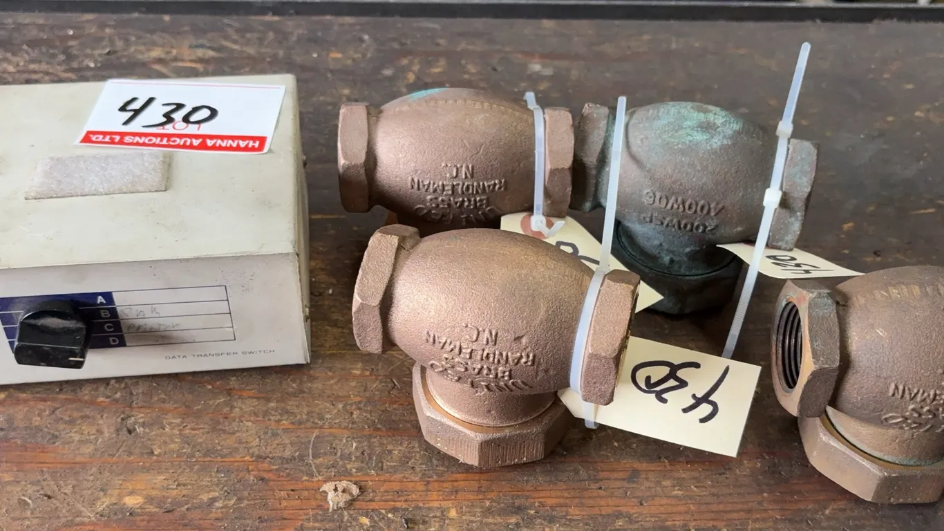 Lot of Bronze Swing Check Valves & Data Transfer Switch