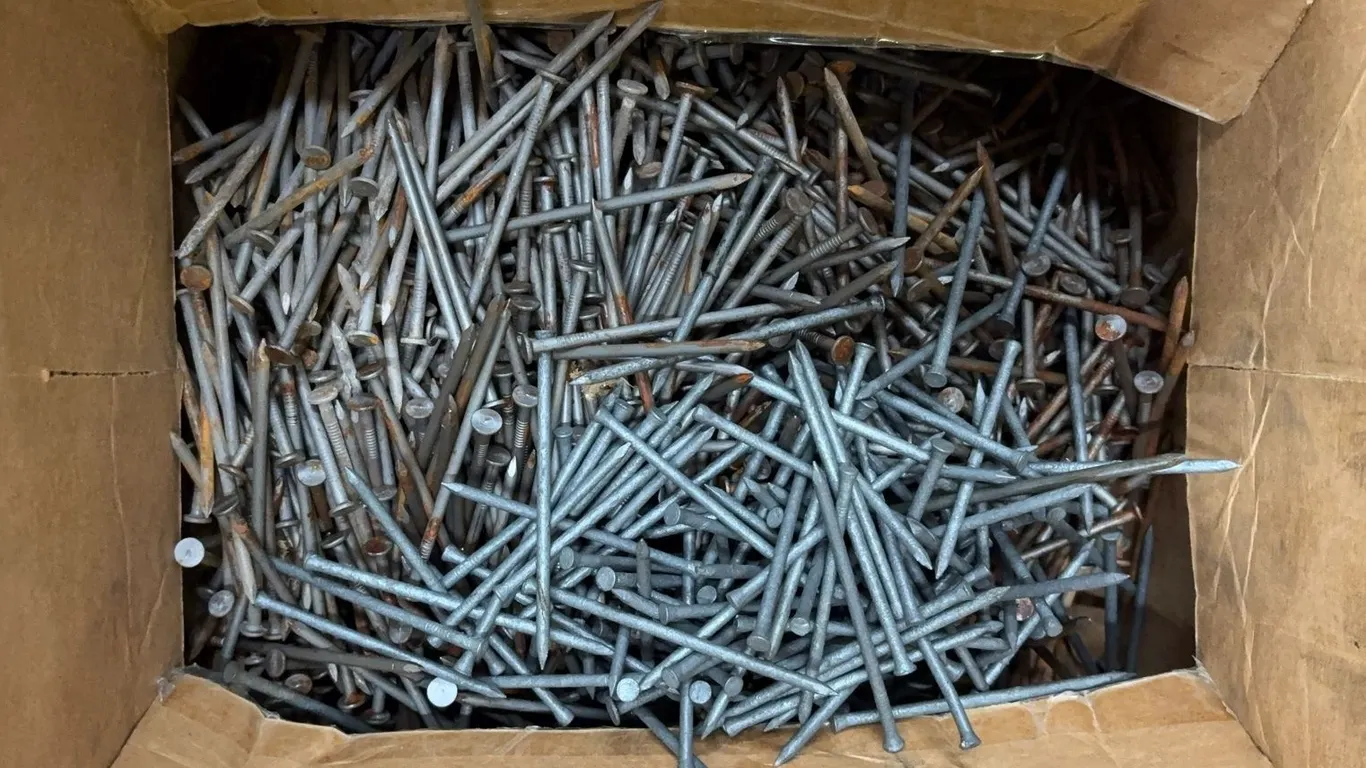 Bulk Lot of Assorted Steel Common Nails