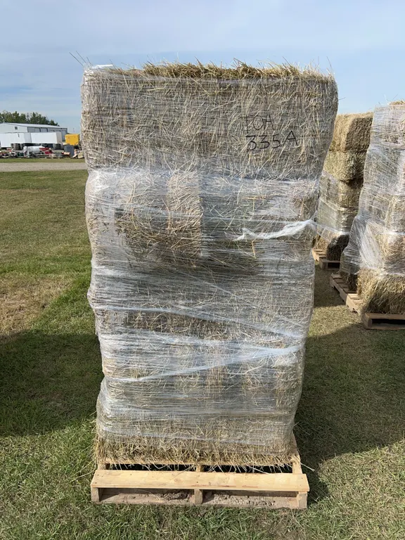 10 Square Bales, Mixed Timothy, Alfalfa Hay, *Unreserved*