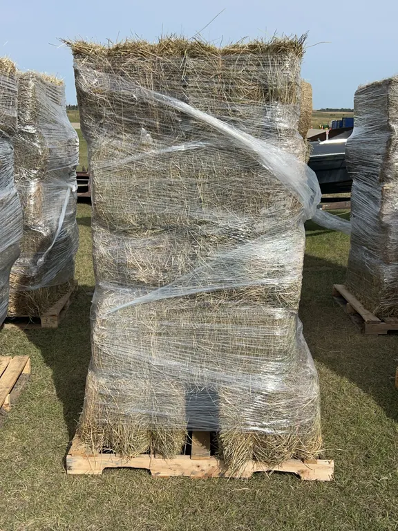 10 Square Bales, Mixed Timothy, Alfalfa Hay, *Unreserved*
