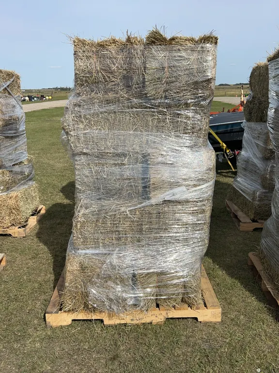 10 Square Bales, Mixed Timothy, Alfalfa Hay, *Unreserved*