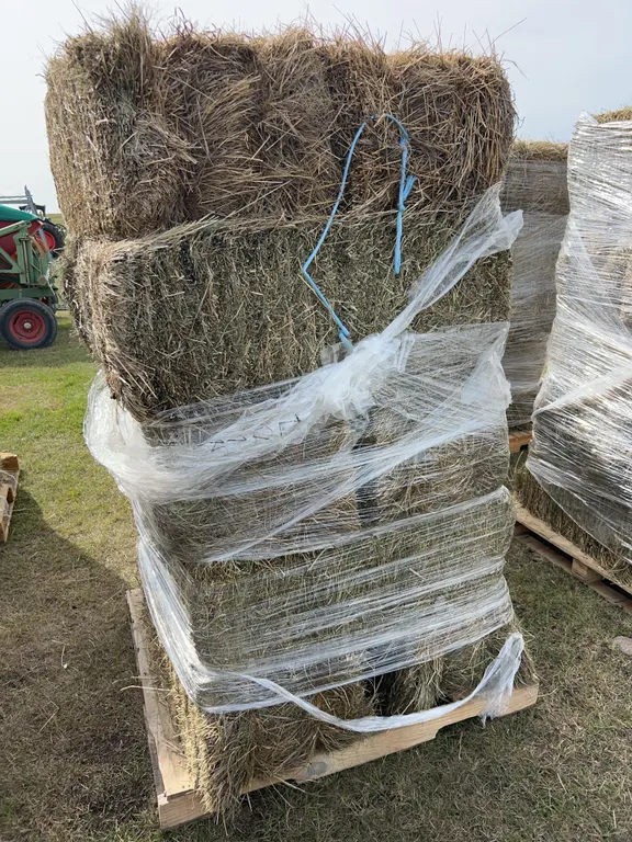 10 Square Bales, Mixed Timothy, Alfalfa Hay, *Unreserved*