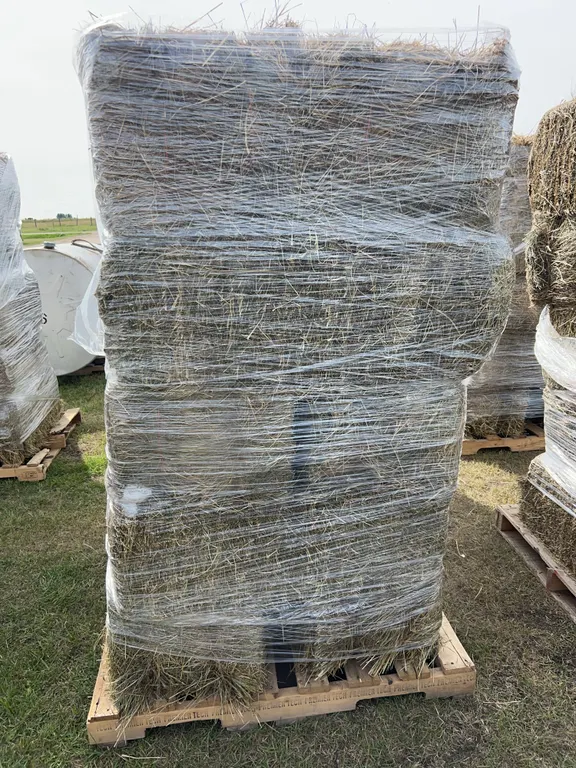10 Square Bales, Mixed Timothy, Alfalfa Hay, *Unreserved*