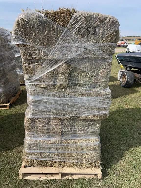 10 Square Bales, Mixed Timothy, Alfalfa Hay, *Unreserved*