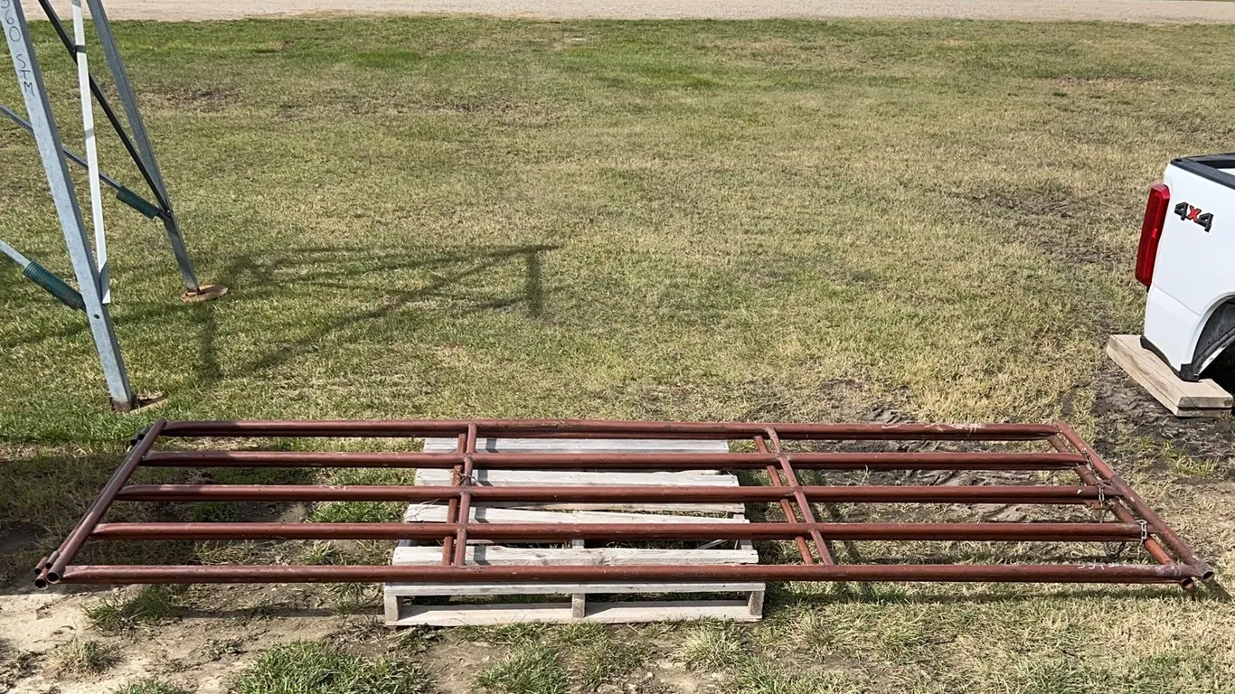 2 - Livestock Gates, 5 rail, approx 12', chain latched, (2 x Bid Price), *Unreserved*