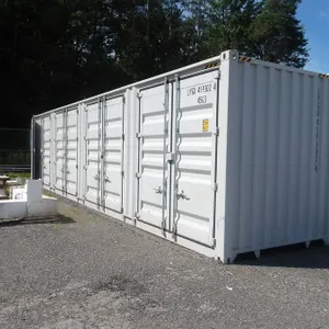 40' High Cube Multi-Door Container (#LYGU4193024)