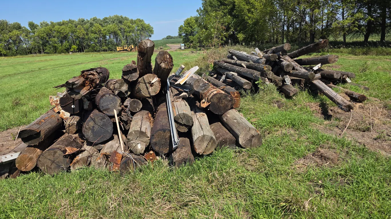 Large Assortment of Utility Poles, Various Lengths and Sizes