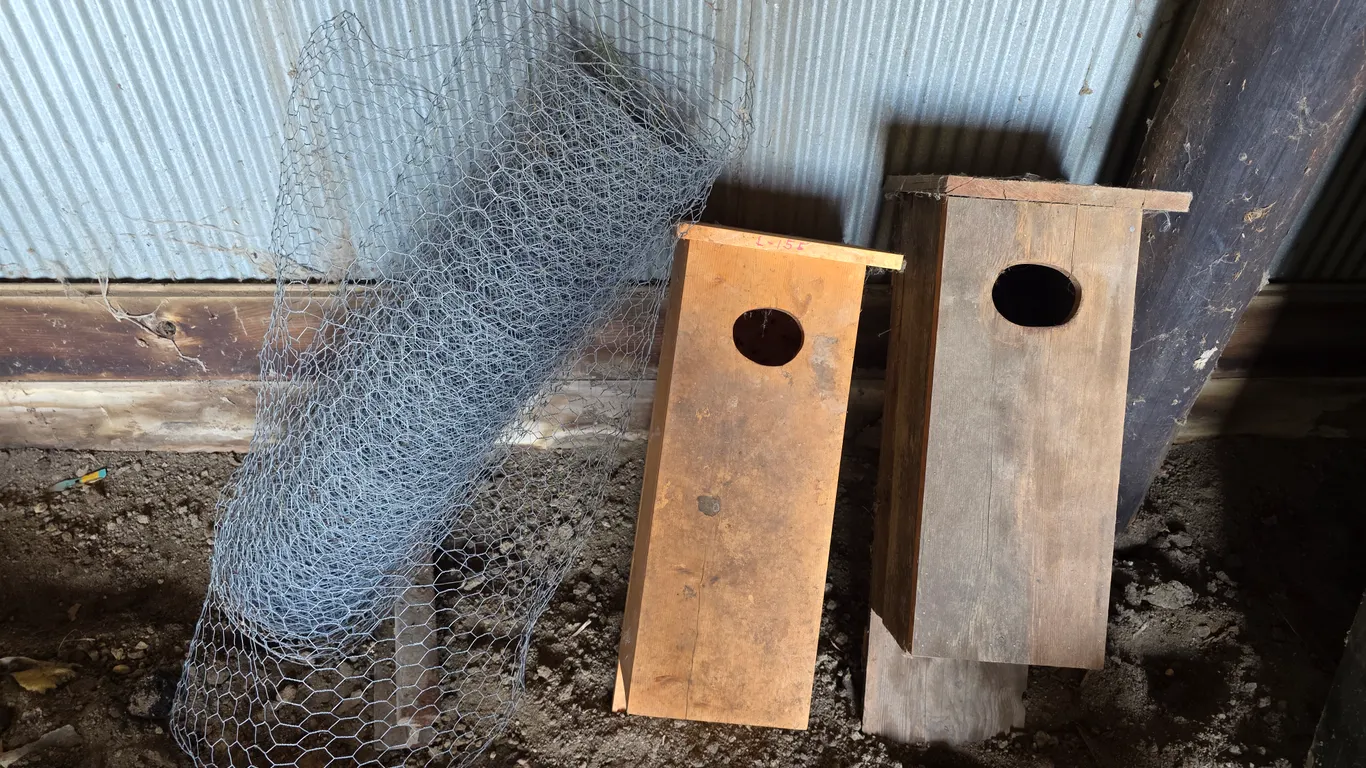 (2) Wood Duck Houses, Chicken Wire and Anvil
