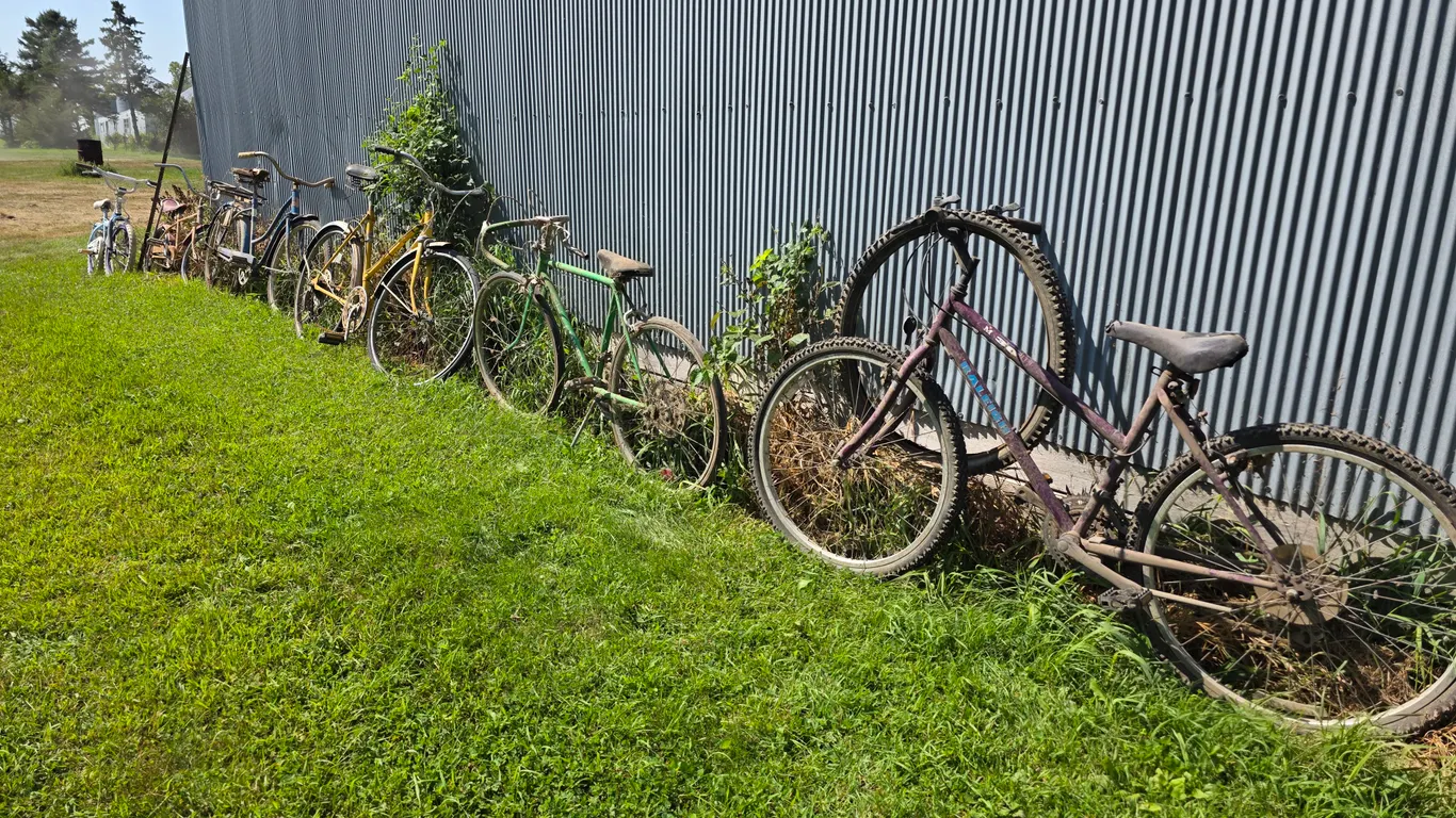 Assortment of Bicycles, Buying All for One Money