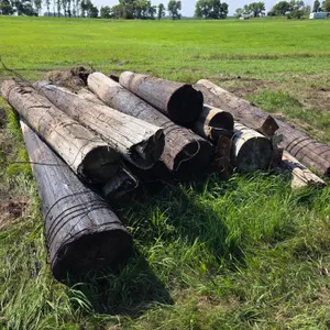 Approx 12 Large Wooden Posts, Approx 16” x 10’ – 11’, Buying All for One Money