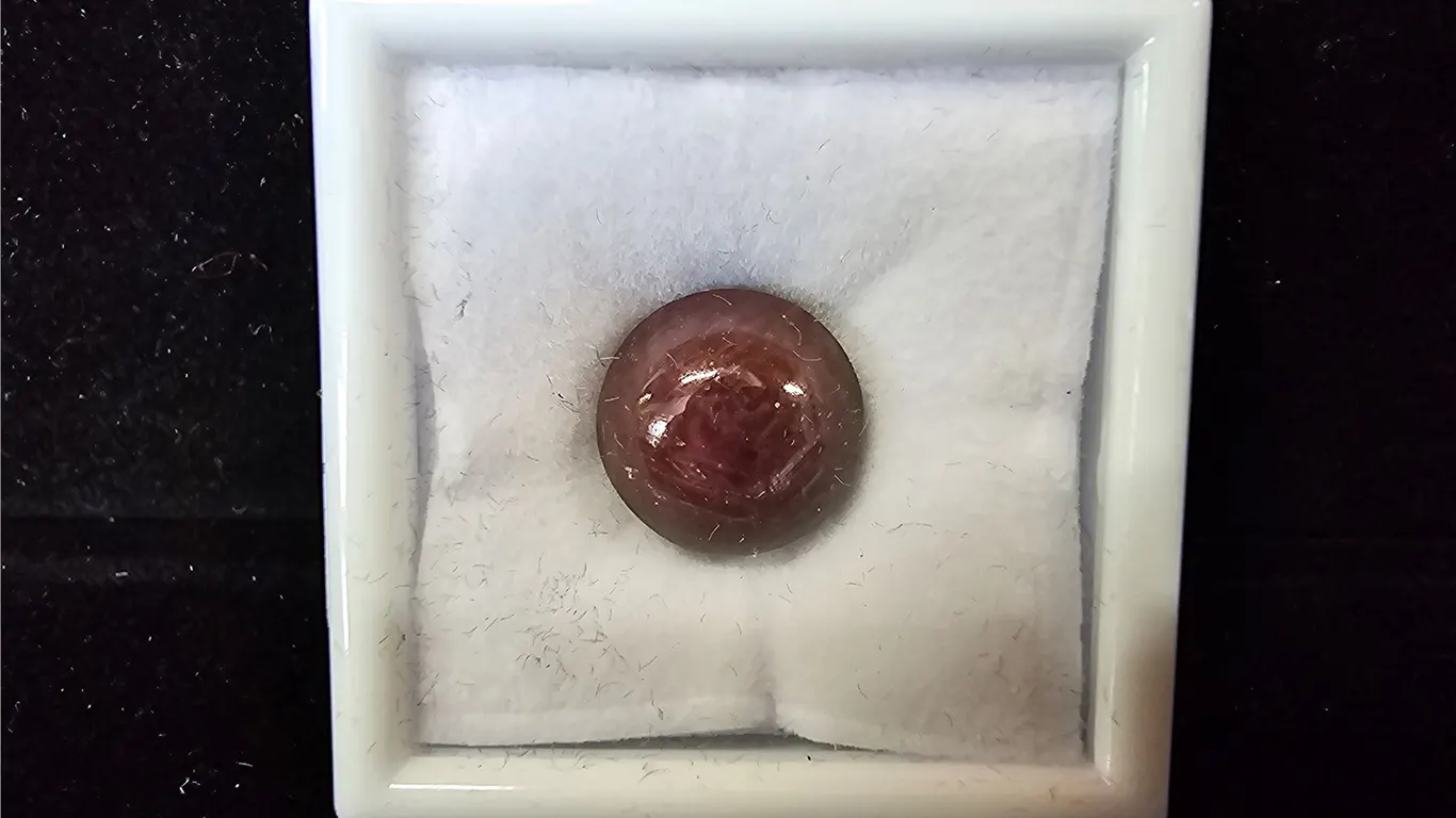 *NEW* 22CT ROUND CABOCHON UNTREATED NATURAL STAR RUBY: 13.8MM X 12.8MM