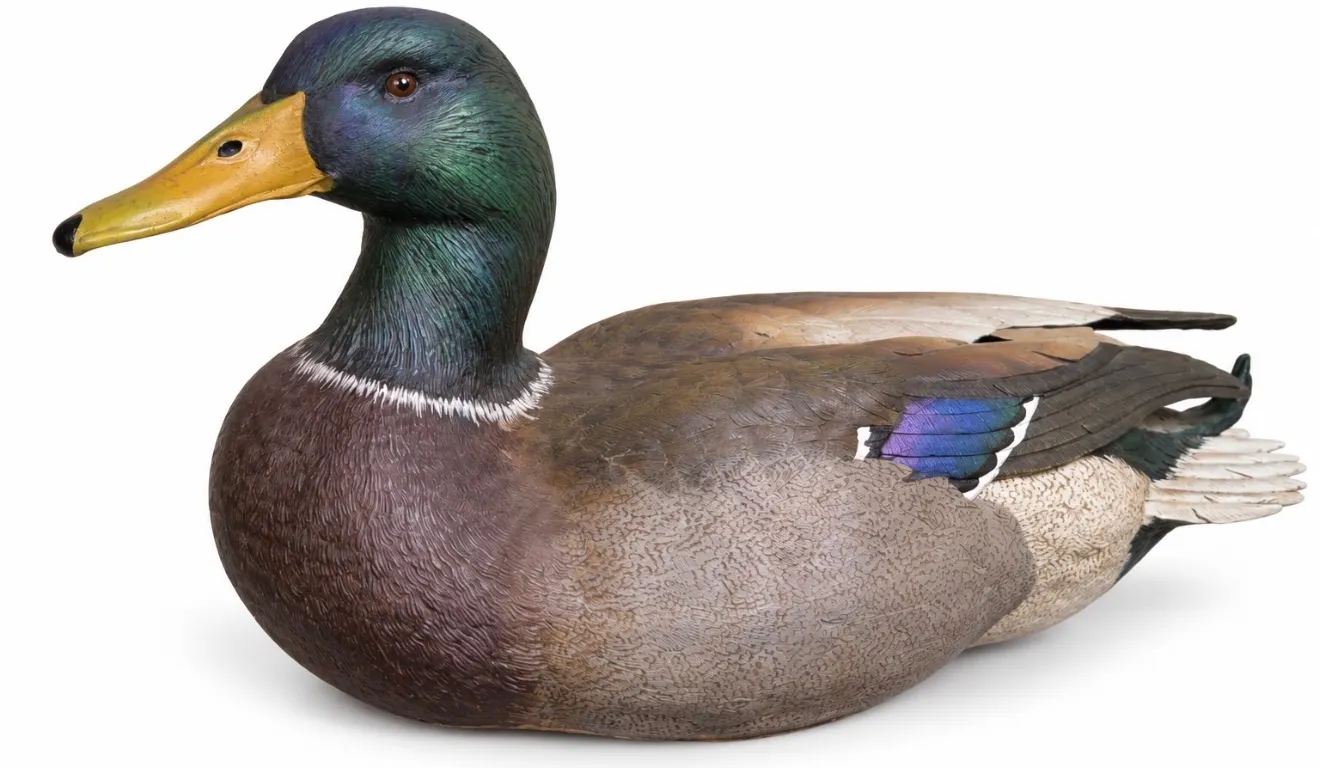 limited edition Mallard Drake sculpture from the Roger Desjardins collection, numbered 296/2000