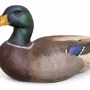 limited edition Mallard Drake sculpture from the Roger Desjardins collection, numbered 296/2000