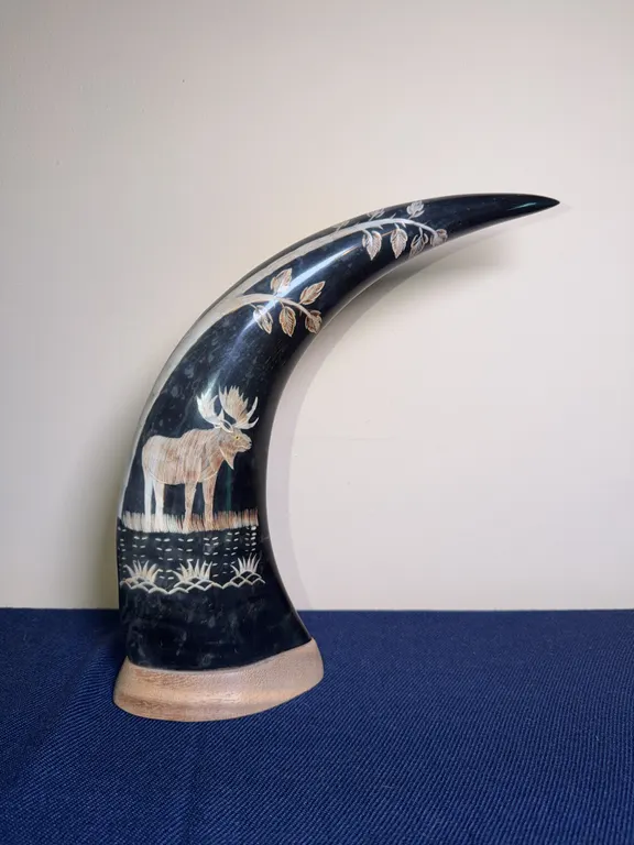 Engraved Moose on a Horn