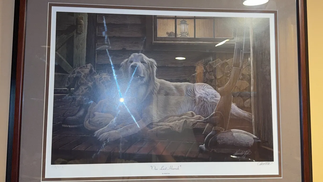 One Last Hurrah" by wildlife artist Harold Roe Signed and Number