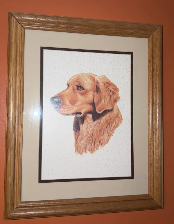 Signed Golden Retriever Cruwys 82