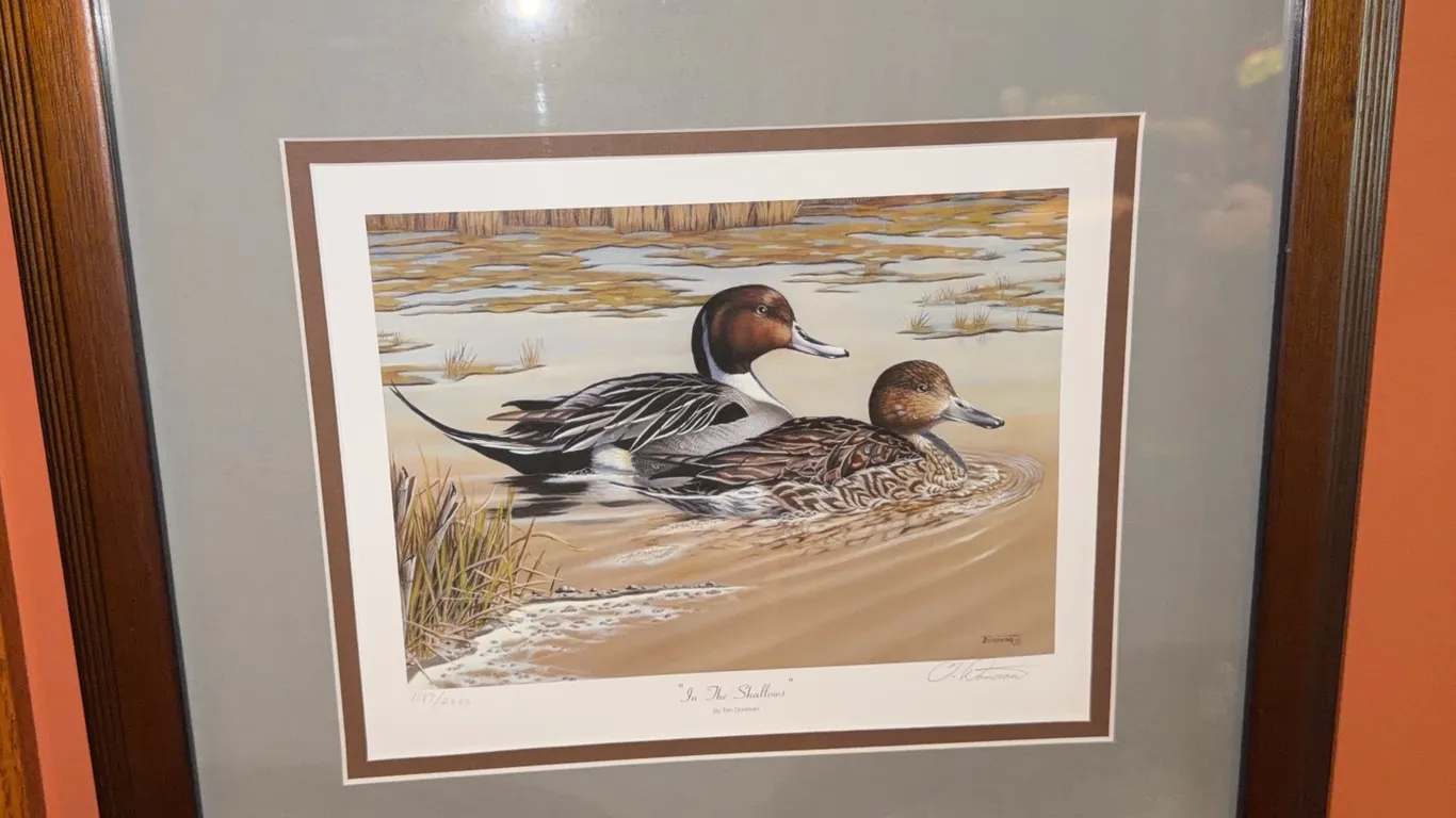 In the shallows by Tim Donovan signed and number