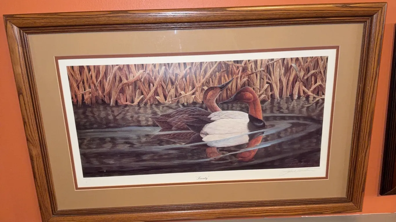 Serenity" canvasback ducks print created by artist John A. Ruthven signed and numbered