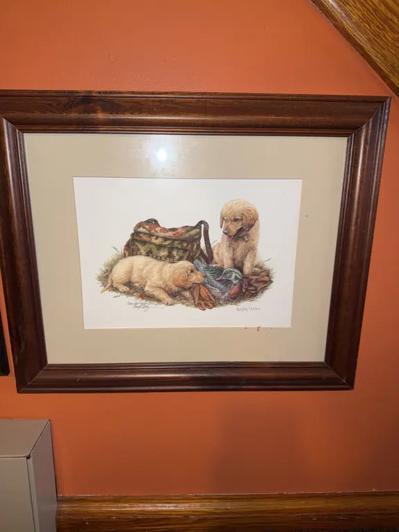 Signed and number golden retriever