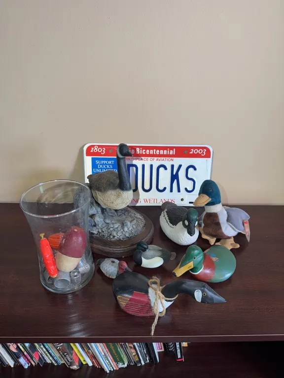 Duck Decor
