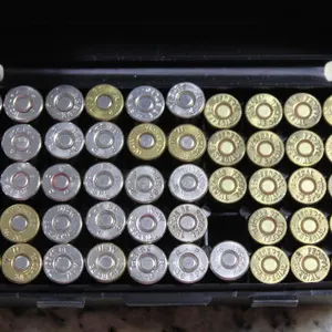 .38 Special Ammunition with Case-Gard P50 Storage Box