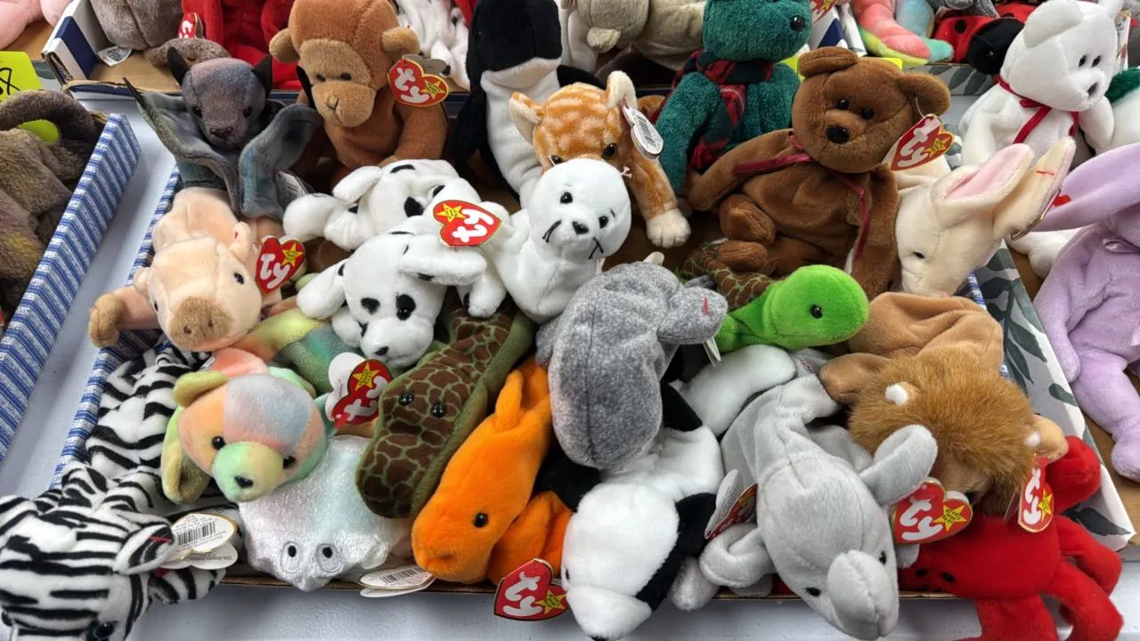 A Collection of Ty Beanie Babies. (Ty, 1990s) An assortment of original Beanie Babies plush toys featuring various animal designs, each retaining Ty h