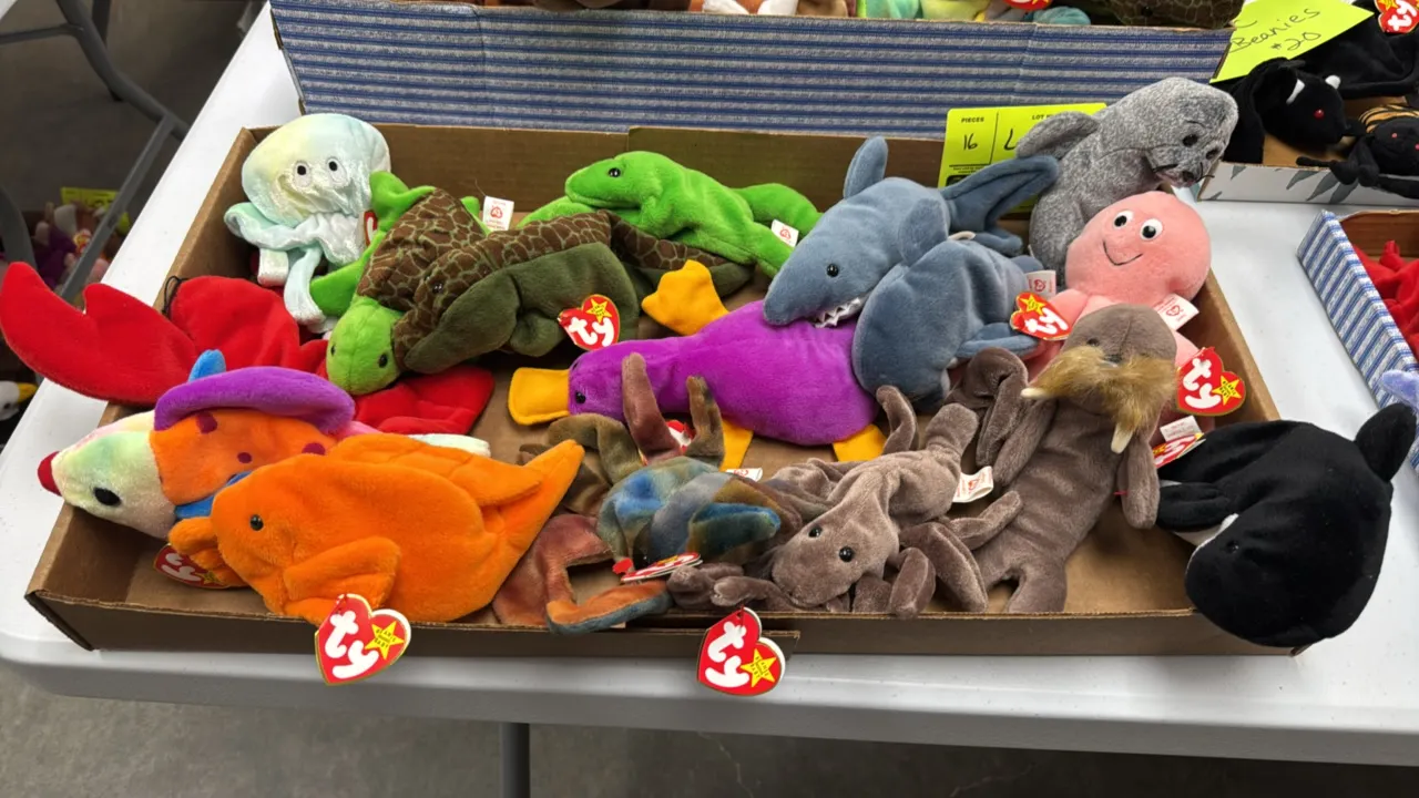 A Collection of Ty Original Beanie Babies. (Ty, 1990s) A collection of sixteen original plush Beanie Babies featuring primarily aquatic and amphibian
