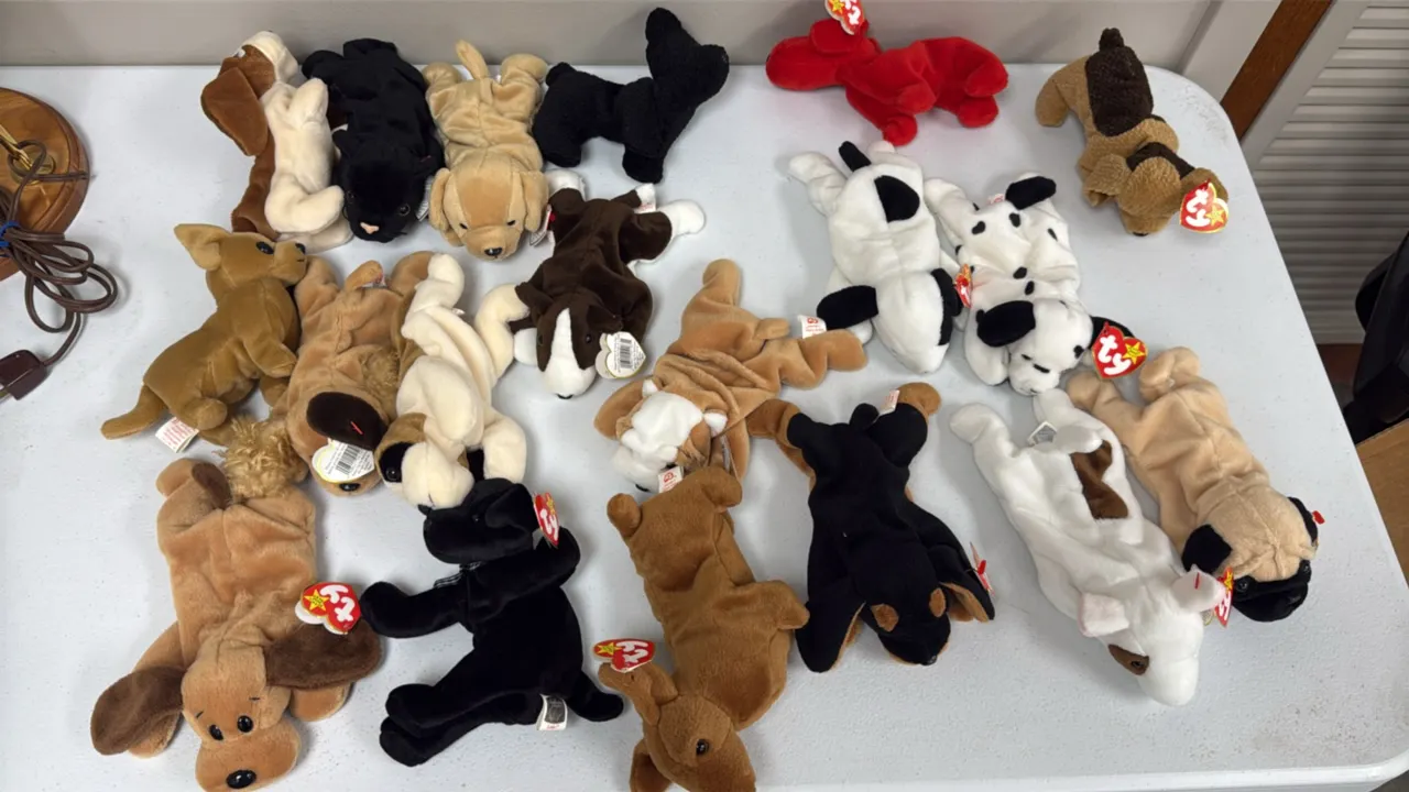 A Collection of Ty Original Beanie Babies Dogs. (Ty, 1990s) A collection of Ty Beanie Babies dog plush figures, including Butch, Rover, Spunky, Dotty,
