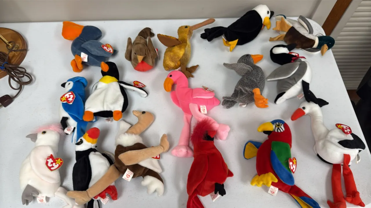 A Collection of Ty Original Beanie Babies Bird Plush Figures. (Ty, 1990s) A collection of 16 bird-themed Beanie Babies including Jabber the parrot, Pi