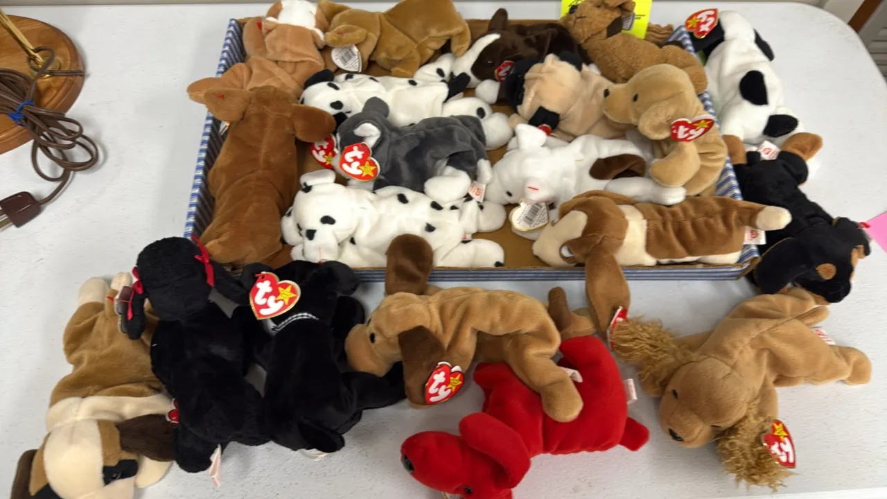 A Collection of Ty Original Beanie Babies Plush Dogs. (Ty, 1990s) An assortment of plush canine figures, including Spunky, Dotty, and others, featurin