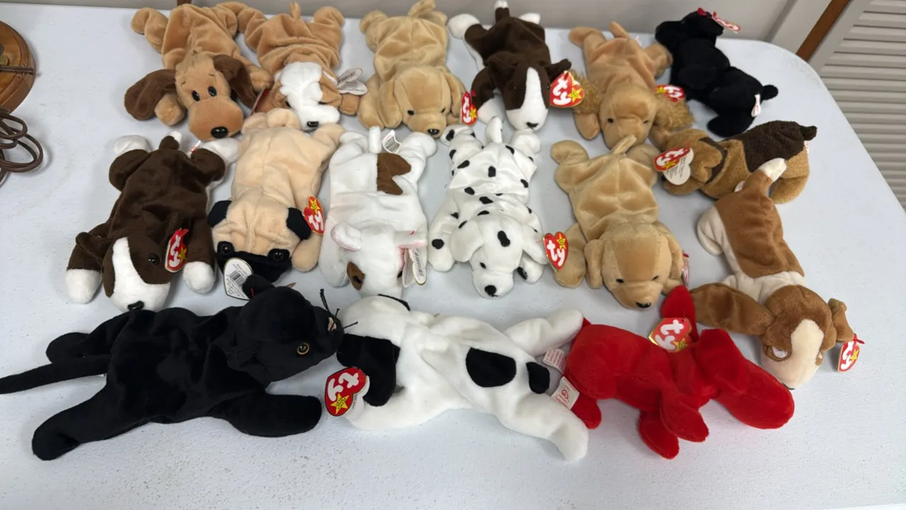 A Collection of Ty Beanie Babies Dog Plush Toys. (Ty, 1990s) An assortment of plush beanbag figures, primarily depicting various dog breeds including