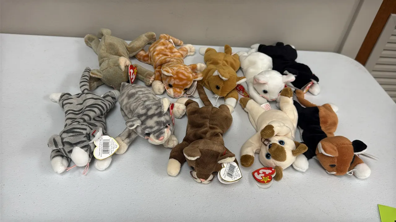 A Collection of Ty Original Beanie Babies Cats. (Ty, 1990s) A set of plush feline Beanie Babies featuring various cat styles including Snip (Style 412