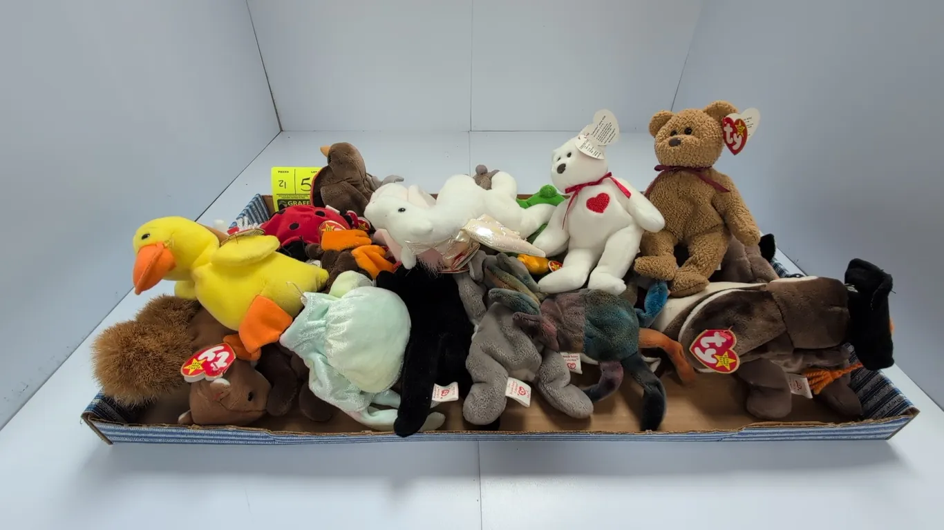 A Collection of Ty Beanie Babies Plush Toys. (Ty, 1990s) An assortment of original Beanie Babies featuring characters such as Lucky the ladybug, Valen