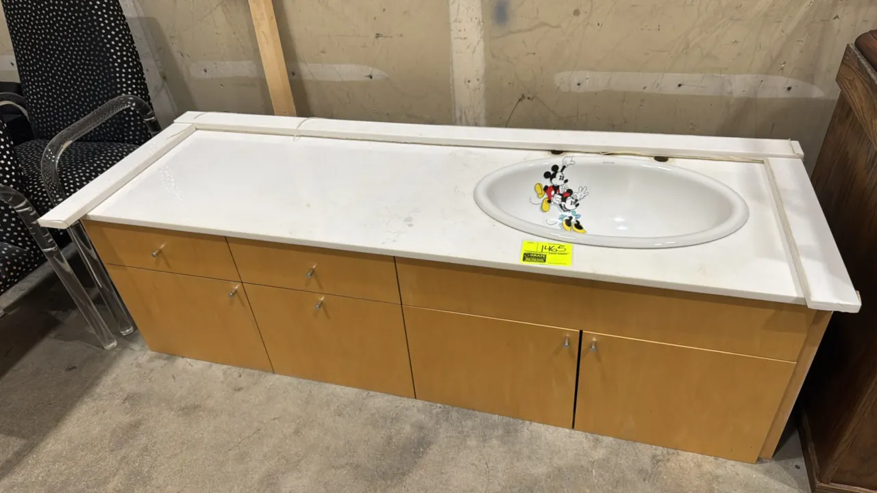 Kohler Mickey and Minnie Mouse themed wood vanity with quartz top. Features a white quartz countertop with matching loose trim pieces, Kohler oval sin