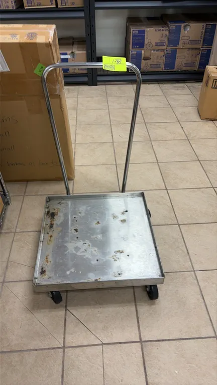 Stainless steel platform cart. Features a tubular push handle and raised-edge platform deck. Mounted on 4 casters.